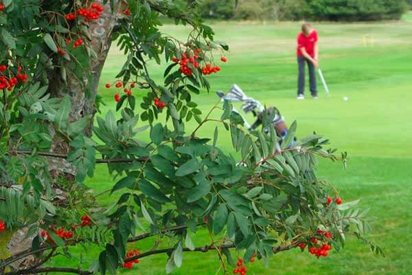 Golf Nyborg